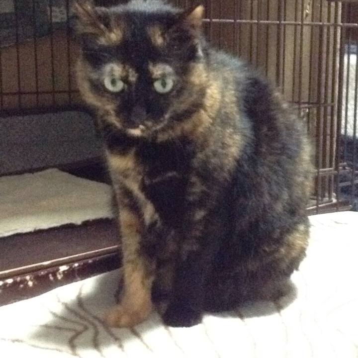 3d46dcc1 a880 4913 8147 14ea05b03832