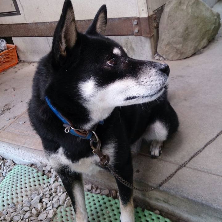 3d473314 ae32 4cee 8eb0 efea418a9ab9