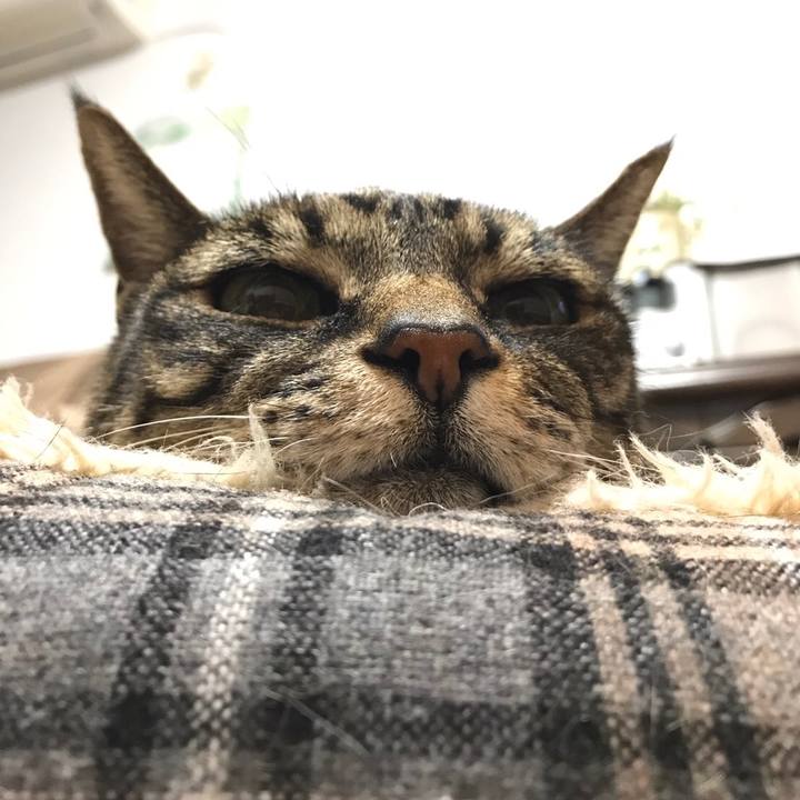 3d47692d deab 40bb bc9c d5a89221a311