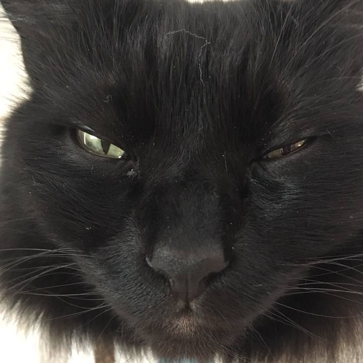 3d47c67a 8268 4fce 9517 a64b834f3d9d