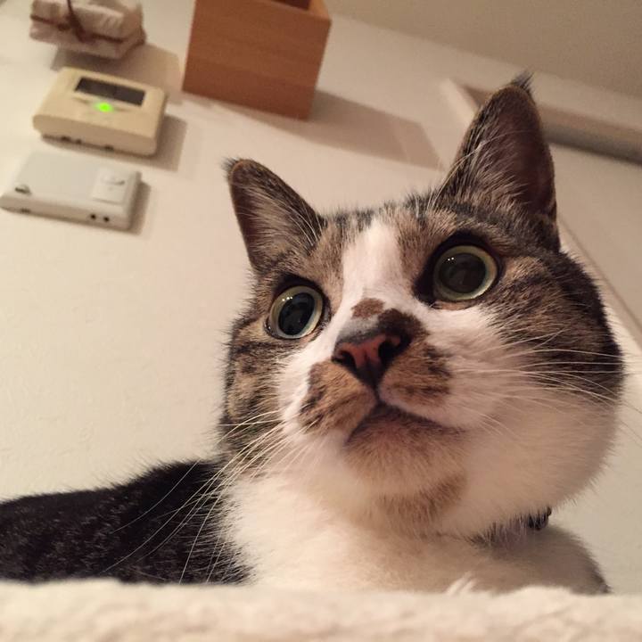 3d47fb35 b1db 494b a071 6d0723c62e3d