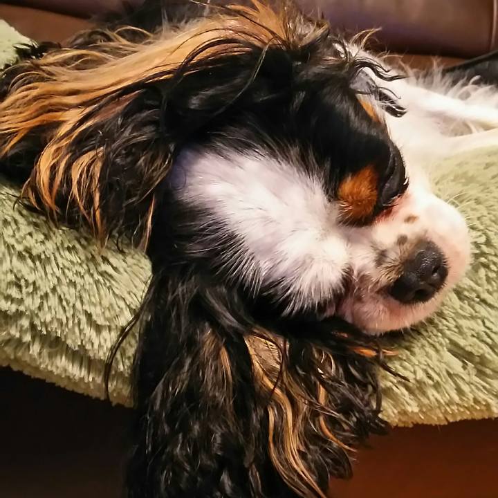 3d48224c f0ca 4812 8d07 e79976922c3e