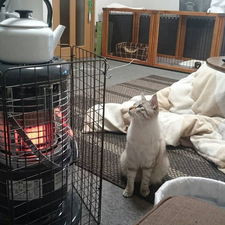 3d488d70 3ab3 4673 83f8 a53bc8282cfa