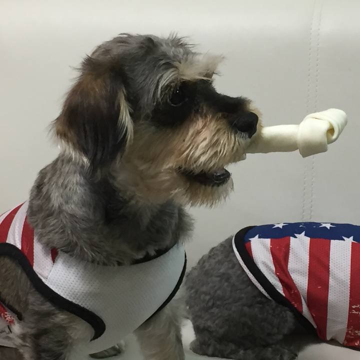 3d499642 f3f8 4ac5 93db 7b9bf42adc78