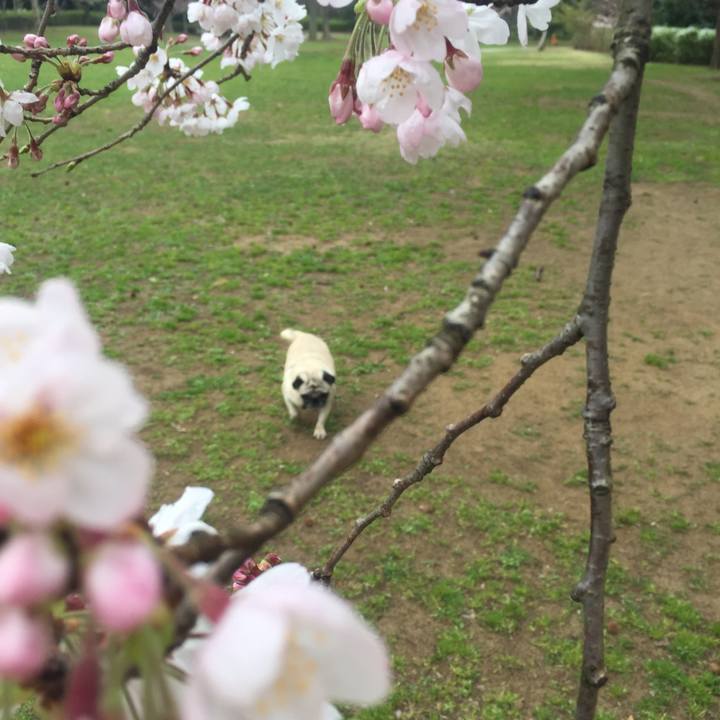 3d4a44ba 04d8 40a9 81d2 c694b5b14261