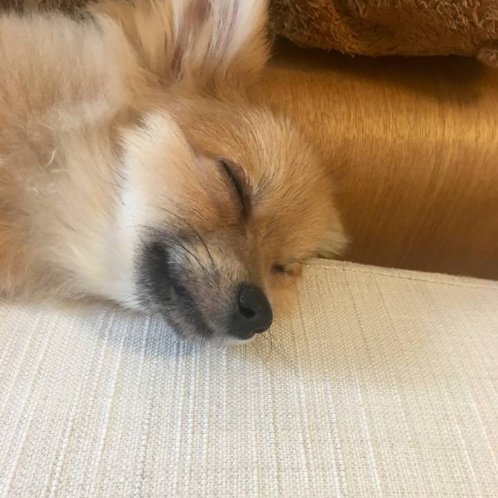 3d4ac3e5 240d 459d 9f69 f8abd17bae47