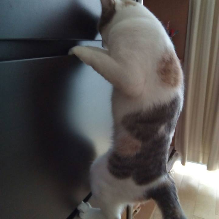 3d4b9d4b ef61 4ae1 a4c8 2692fa552089