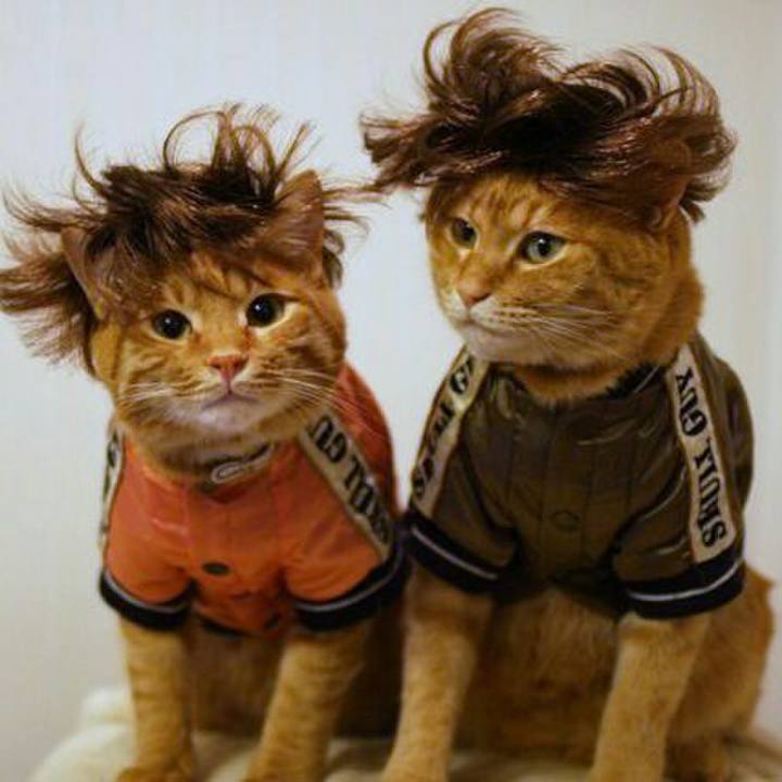 3d4c4322 40dc 443e 915a a04c94ec23ce