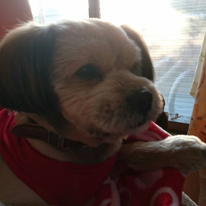 3d4c5131 fd1f 4004 bc4c 575ebbc87aa2