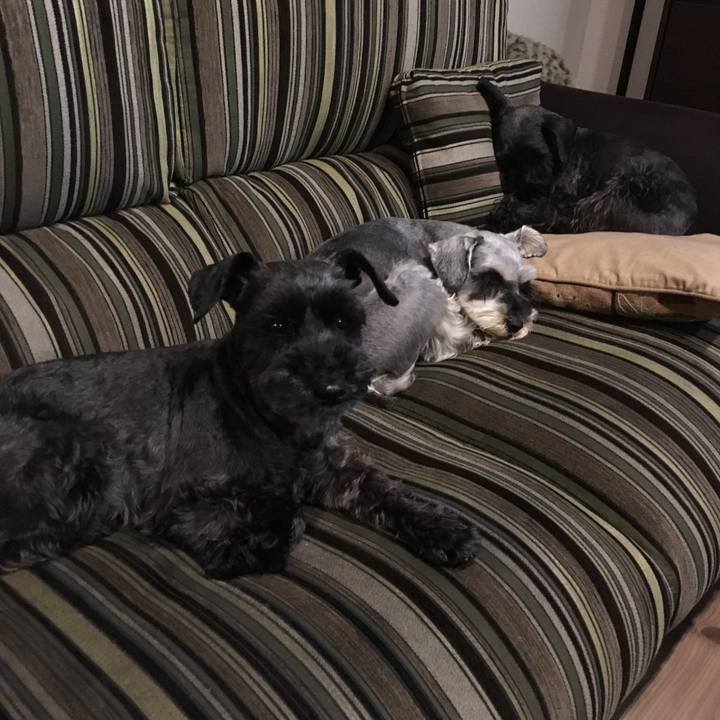 3d4c5926 7f66 466e a0b5 e16b6b6f5cb1