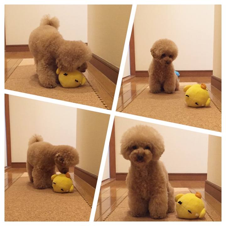 3d4cb519 deb6 49cf 8581 a663d788d5ee