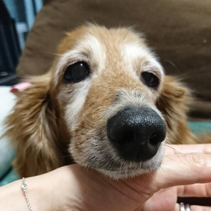 3d4cfca1 8097 4e6b 80a0 bf8eb6fdf5ea