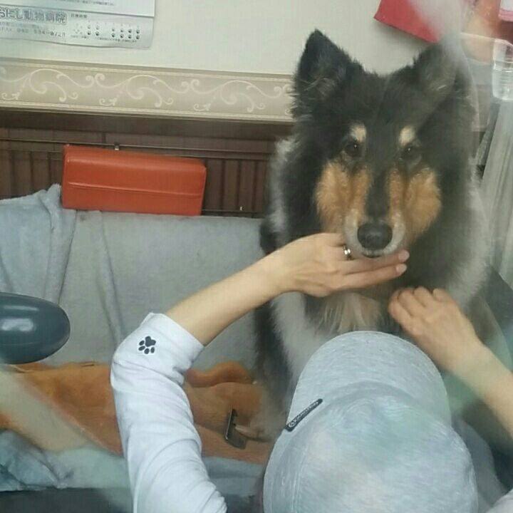 3d4d0d53 d4ba 45d9 87f9 3351e38d2423