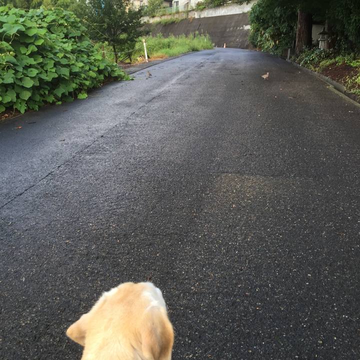 3d4d894b c5a5 4f06 ad9d cb6eac68ff43