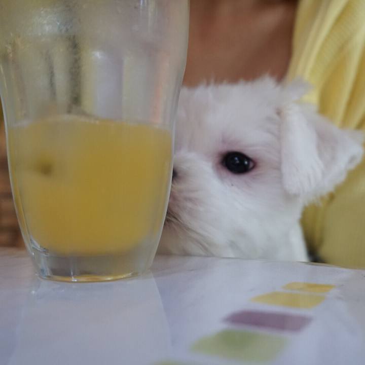 3d4e886b 4a3d 460e 935e 5b417d3f8085