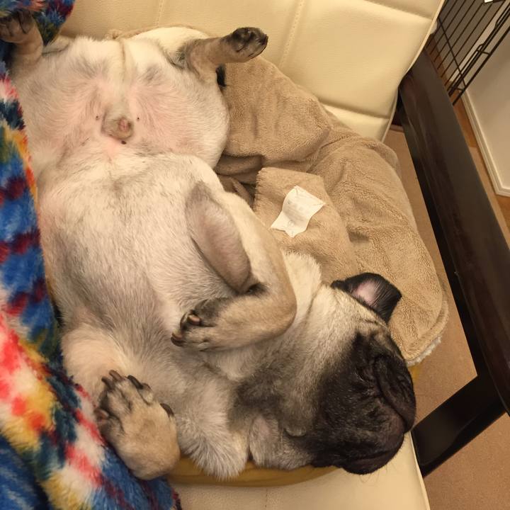 3d4edd60 740e 4d71 ac79 a71b8db84339