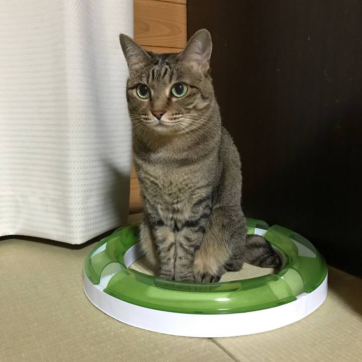 3d51b460 b5e5 43bc b541 aef49a2d7a7e