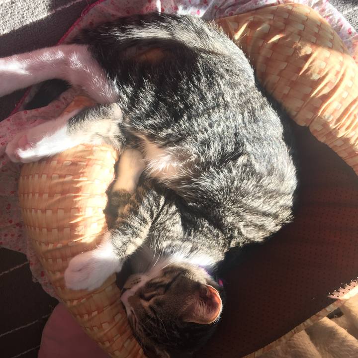 3d51bce5 96f0 486f b8af 61801e6cafa0