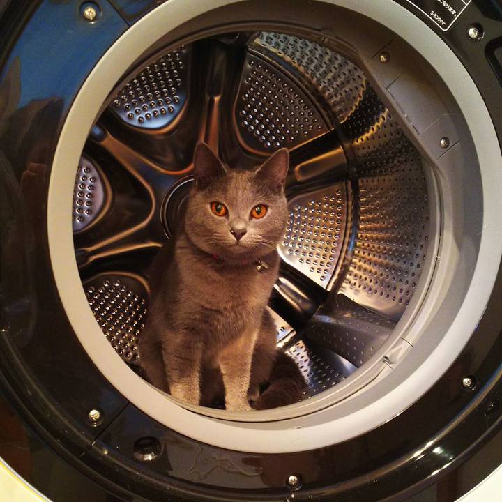 3d51cf1f f9a6 472f bf21 70f207c39d9a