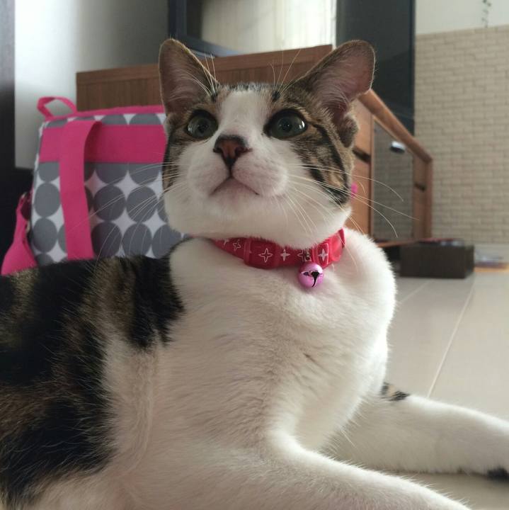 3d51e50d 8b10 447a a848 d75bde409d23