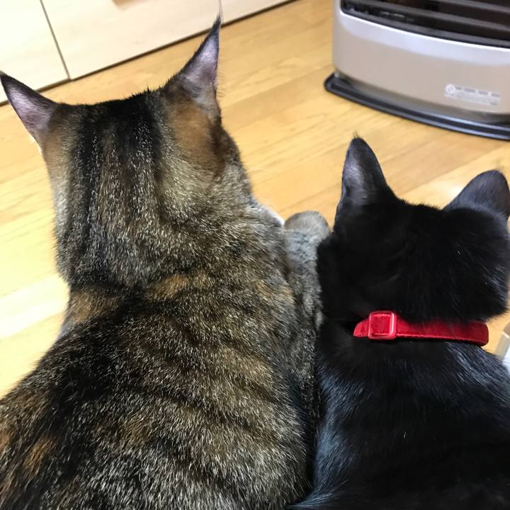 3d523ccb 9696 4dc6 b636 0907fb71b347