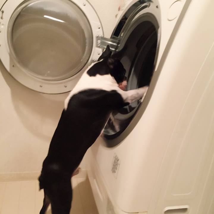 3d528711 8a9e 4717 a86b 76acb2099ddc