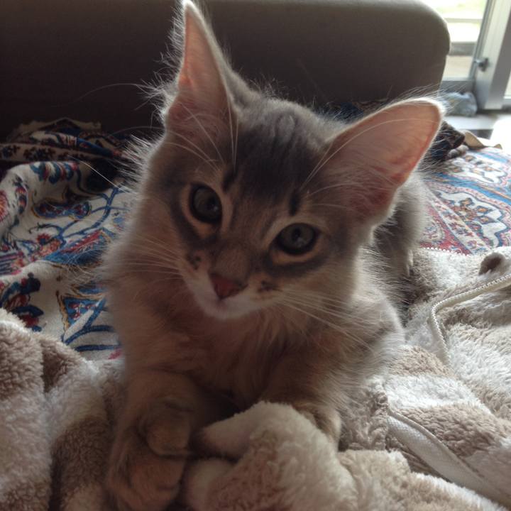 3d5289fb 59c4 4d9d 8af9 b666fab8f573