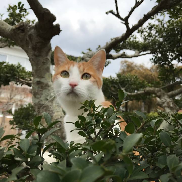 3d52e722 db8a 41a9 bc45 26d830c94f64