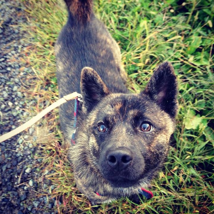 3d532430 7355 4a65 93f0 219ca14bba42