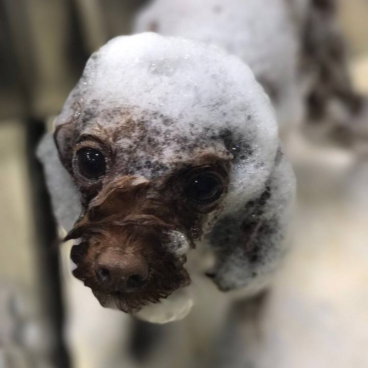 3d532acb a1c7 4718 9606 26943cb8d5b3