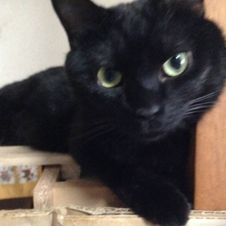 3d53324e 8121 4643 894e 4b647524bff9