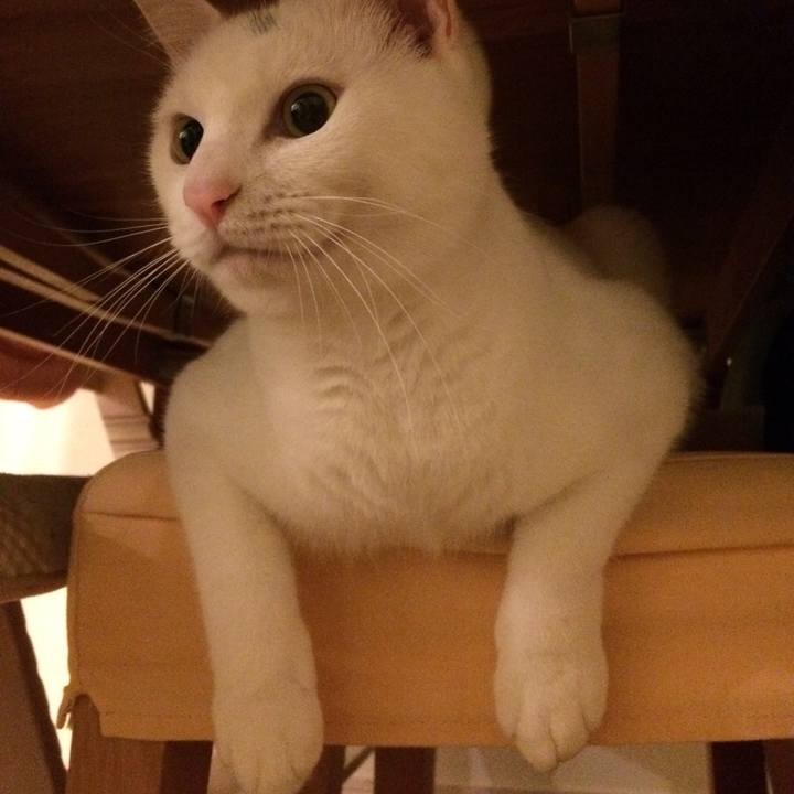 3d54058e 7a9a 4ac0 90f1 b1ed7adb01d1