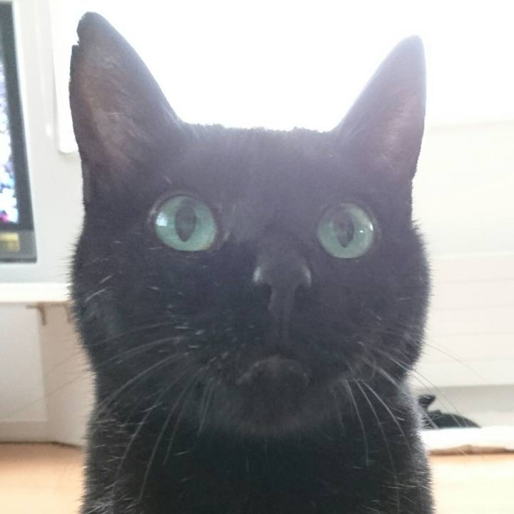 3d546431 6a26 4433 a320 1cf5ed9fbf6b