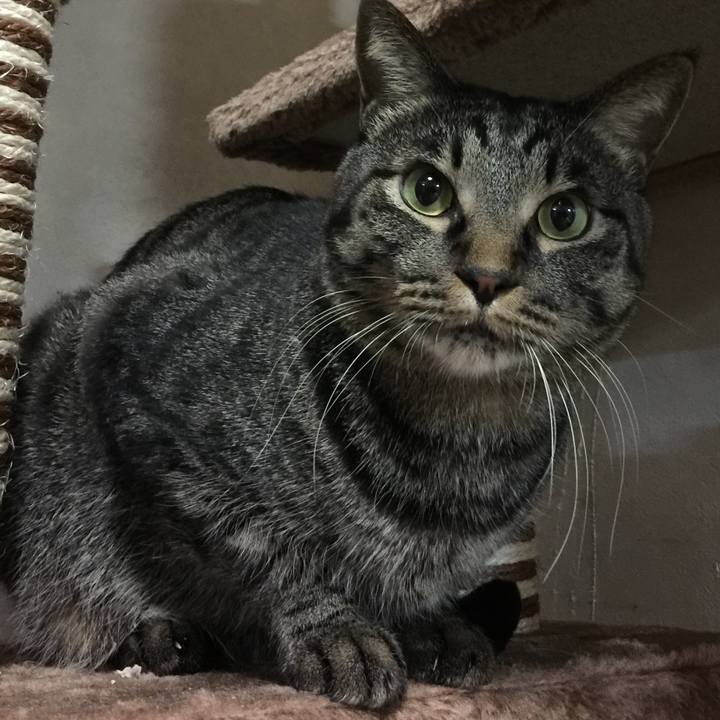 3d54bef5 9c32 4af5 ae31 76201548e6fd