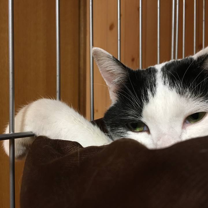 3d54e263 b044 43e8 8415 0cf42baf00bd