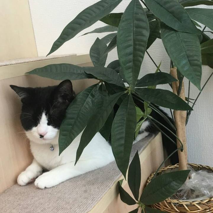 3d5504d5 985f 44d9 9da0 c532d5e35573