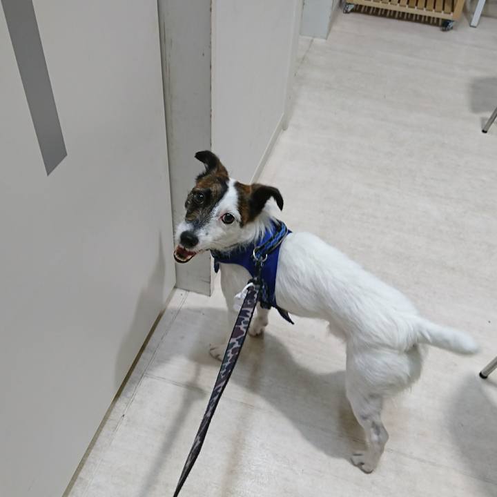 3d55a370 d75c 4b4e 9037 648caf01ee7c