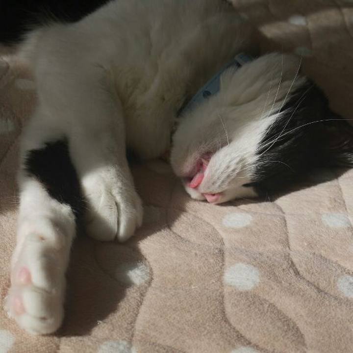 3d564013 4acf 41a4 8762 580e150f3315