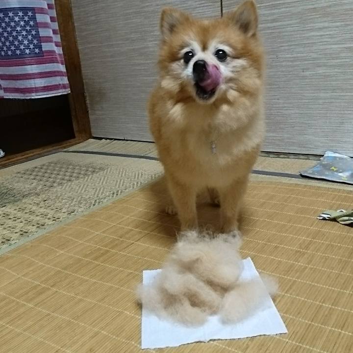 3d56c124 1372 4a7b ab8f d95bb249d0bc