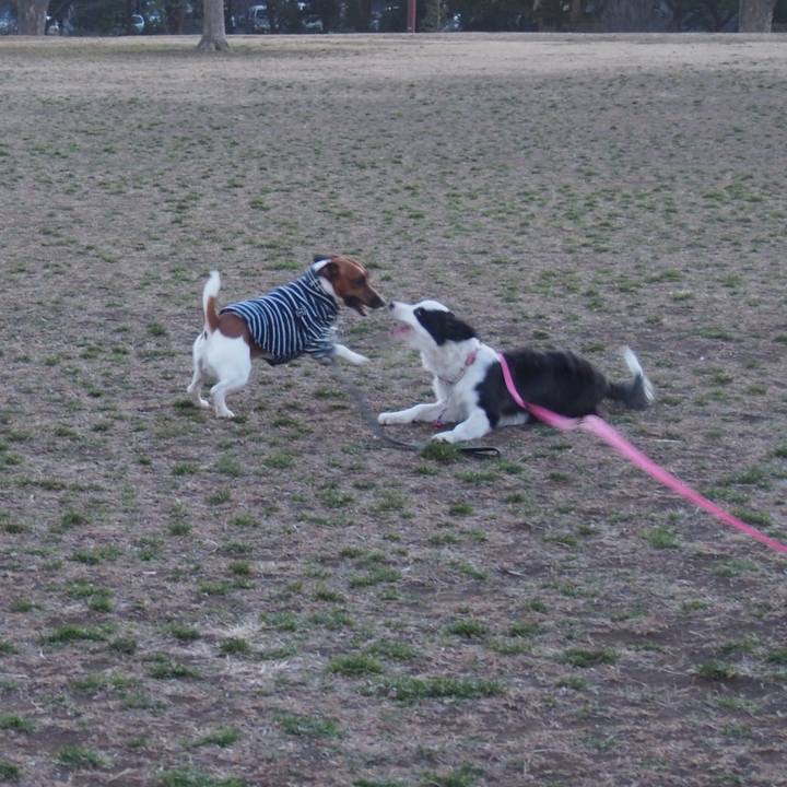 3d57a01b d5cf 48f6 8a40 0ade03271a98