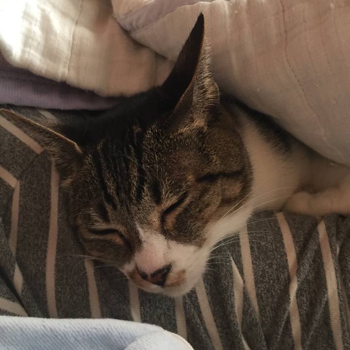 3d5830f1 32aa 4f81 a5ac 6ce85c13ecb6