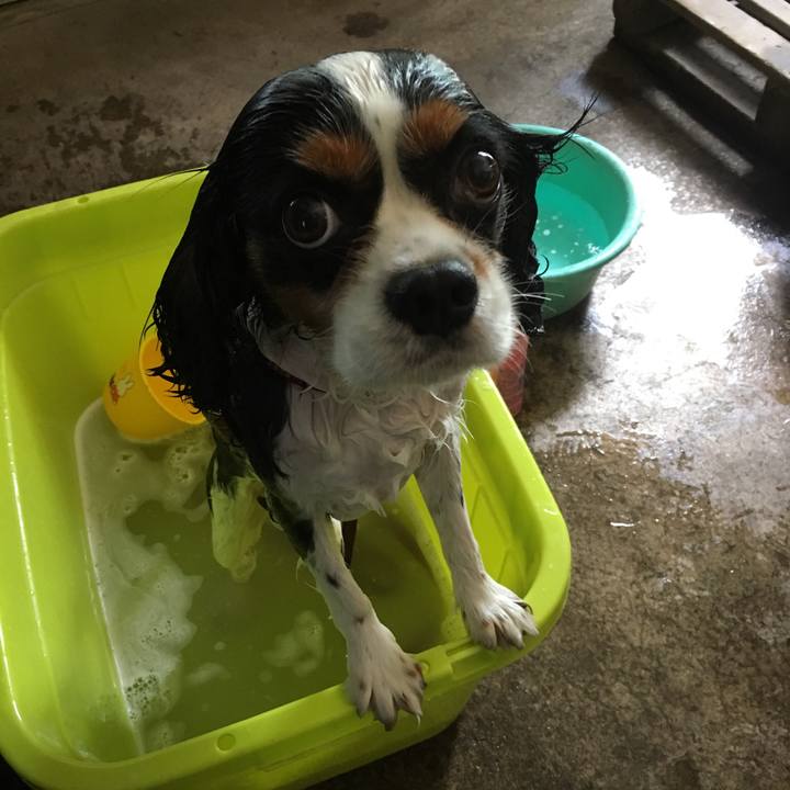 3d585f9f 3e06 4d6f a919 8647c343da53