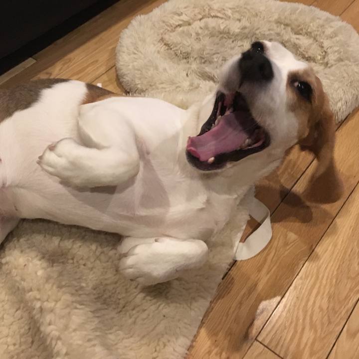 3d588f6f debc 4cfc 9f1c 82b4b2bc4195