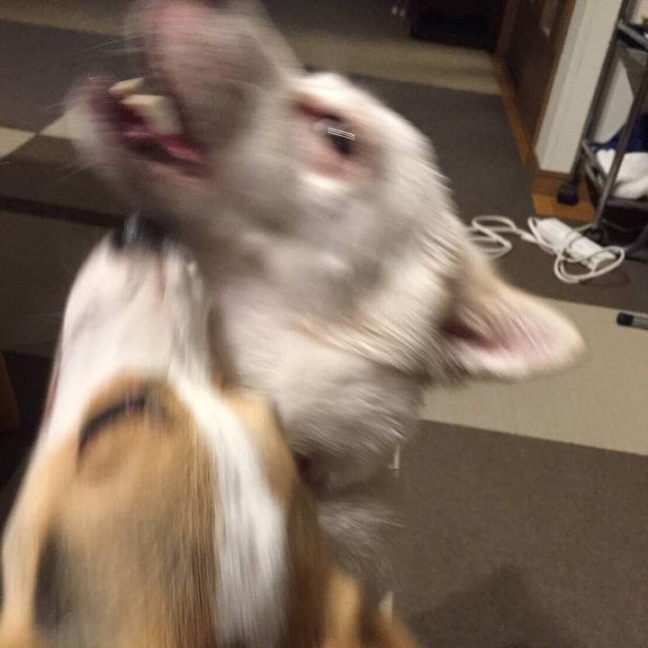 3d5979ee 700a 47ba 9727 91cbeb321f38