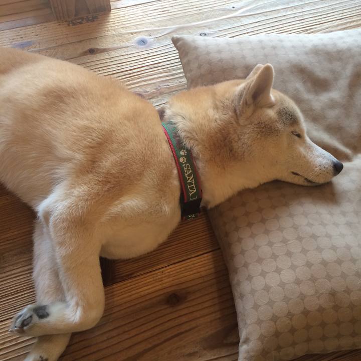 3d59a08f ca77 40e7 a298 d999b0b39cfb