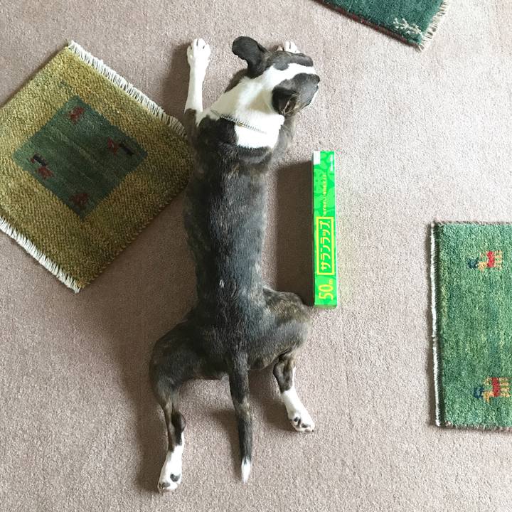 3d59fb61 ed44 4195 9fb3 b5f4995ff3a8