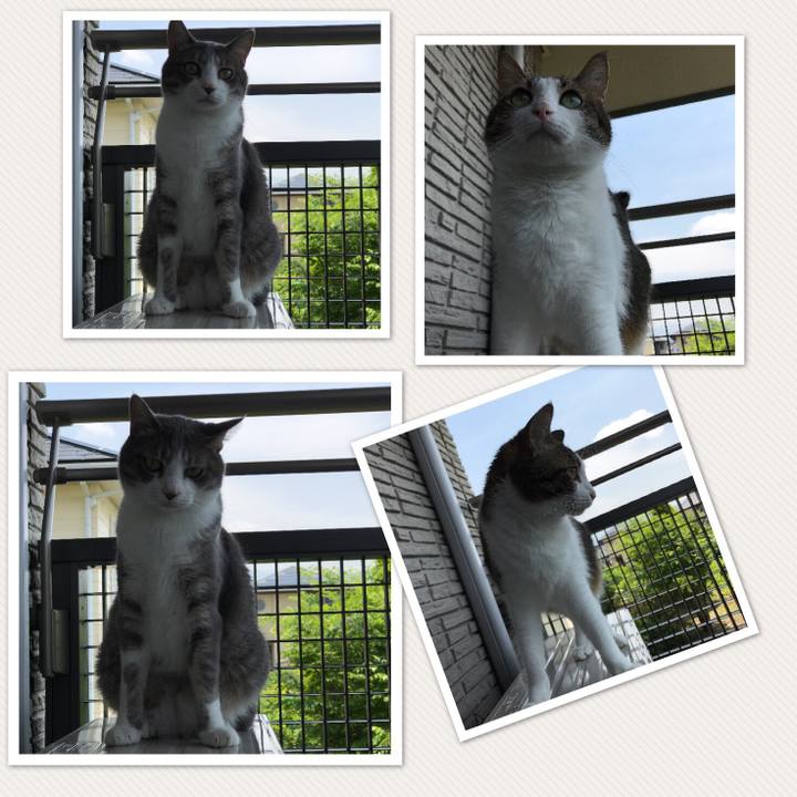 3d5b4d83 6349 411b 9ae2 e1b4b58d78c0