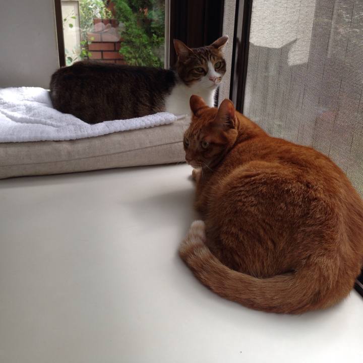 3d5b52b5 3d4f 48e5 b13f 6b3bb35a74ad