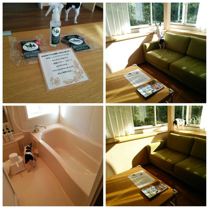 3d5b78fd c0c2 40d5 9079 020f66c4a033