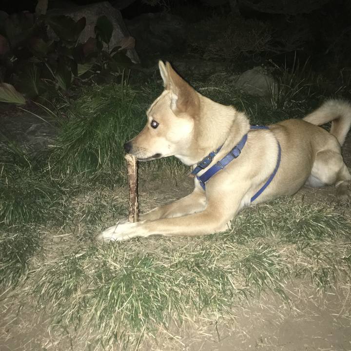 3d5c1f5d c450 460b 808b 8b7f9760c146